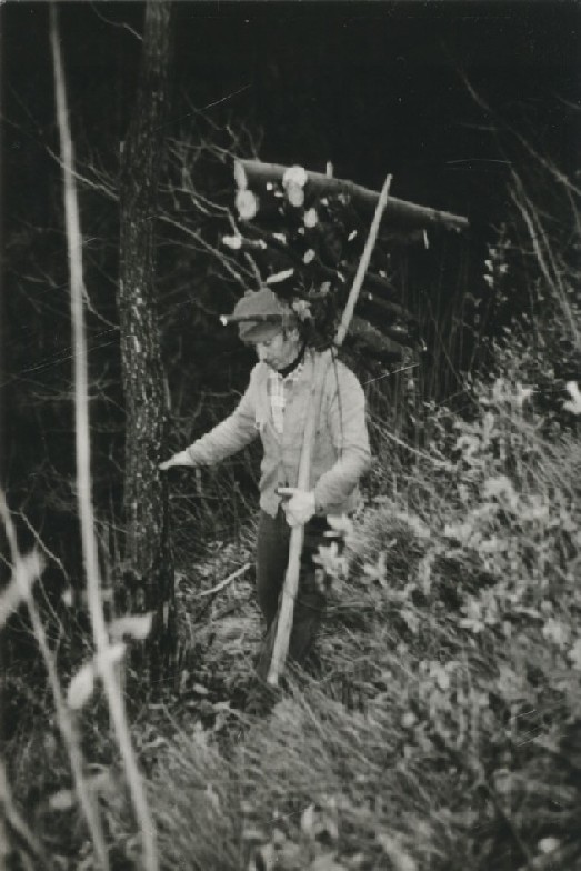  Image name: 01 Carbonai.jpg 
 width: 523 pixel 
 height: 784 pixel 
 Size: 95644 bytes 
 Click to enlarge 